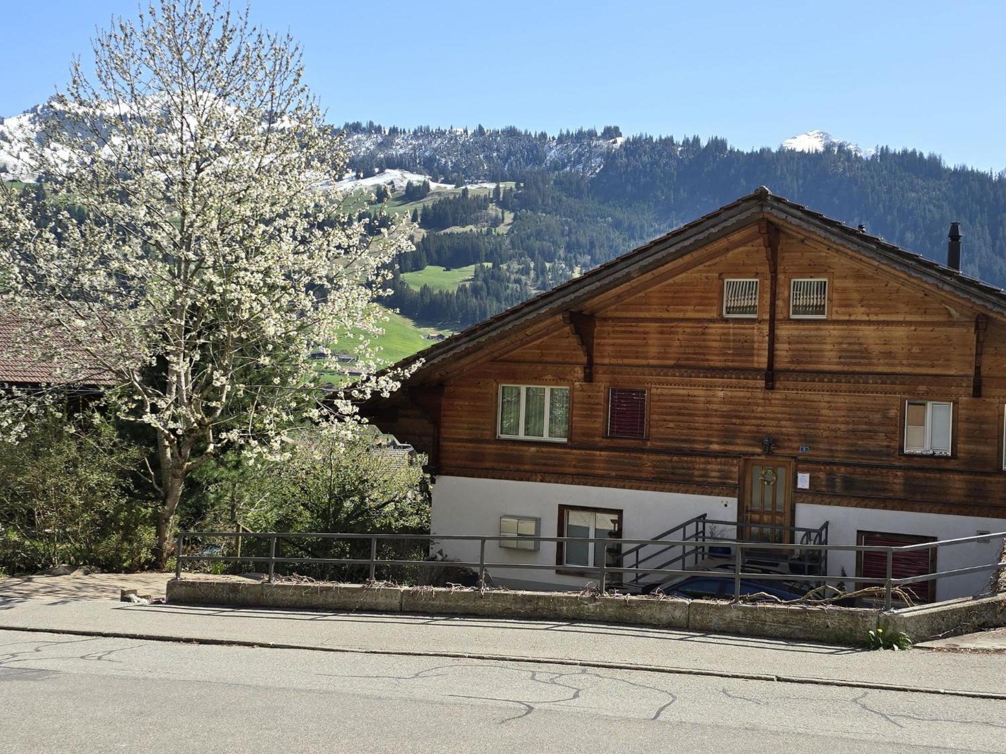 Apartment Am Ryschbaechli By Interhome Zweisimmen Eksteriør billede